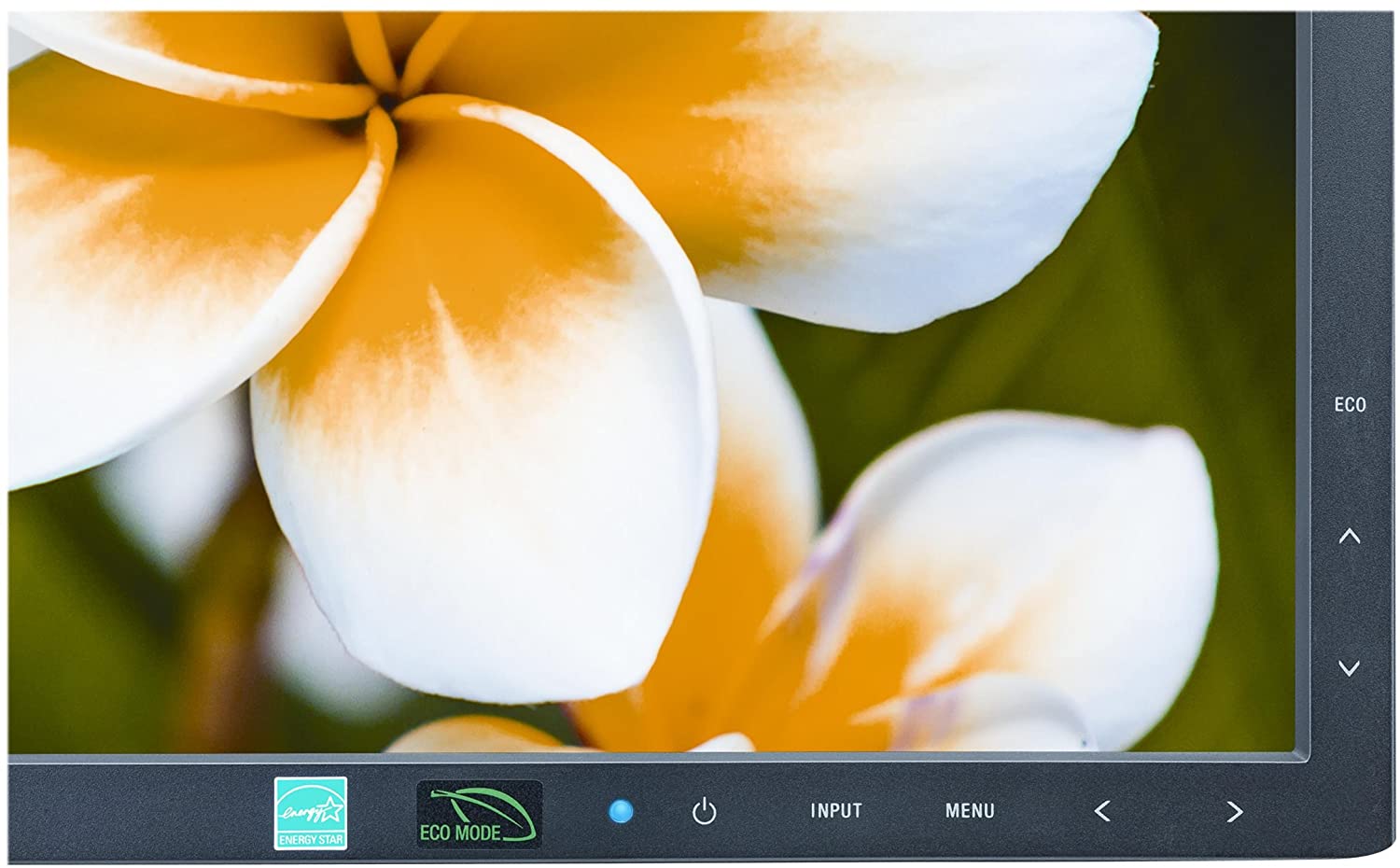 NEC MultiSync E233WM NEC MultiSync E233WM